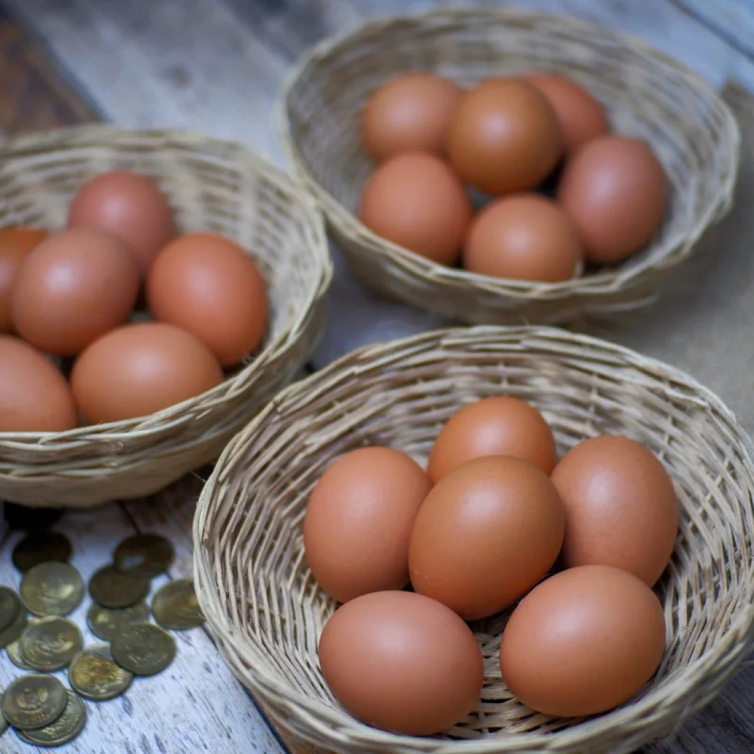 Top Ten Stocks Make Up 38% of S&P 500; Three ETFs for Diversification